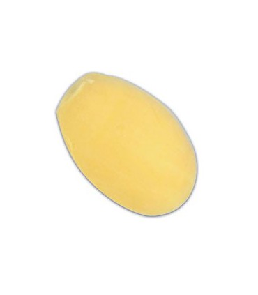 SAVON PROVENDI CITRON