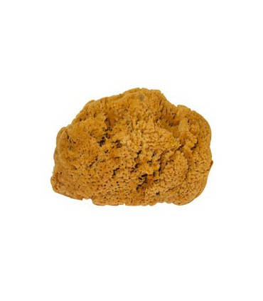 EPONGE DE MER NATURELLE T3        0046 - CHAMOISERIE DE FRANC