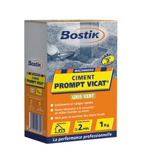 Ciment "Prompt Vicat" 1 Kg - Bostik