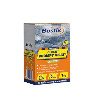 Ciment "Prompt Vicat" 1 Kg - Bostik