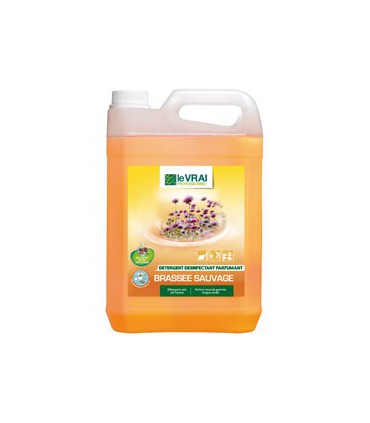 MENAGE PARFUMANT DESINFECTANT 5L BRASSEE