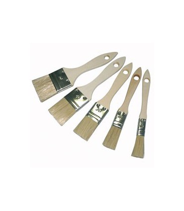 Lot de 5 pinceaux platsss/cavalier