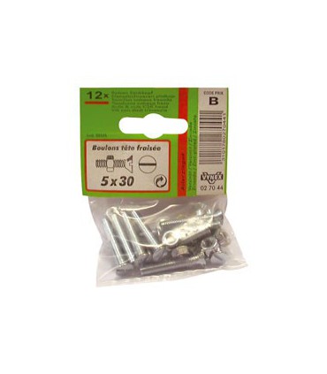 Boulon Tête Fraisé 5 X 30 mm - Vynex 