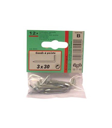 GOND A POINTE 031192