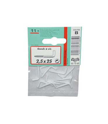 Gond à vis rilsanisé blanc 2.5x25 sc