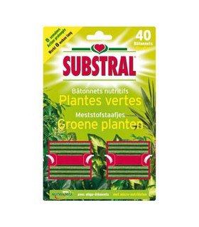 Bâtonnets plantes vertes x40 /nc