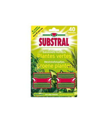 Bâtonnets plantes vertes x40 /nc