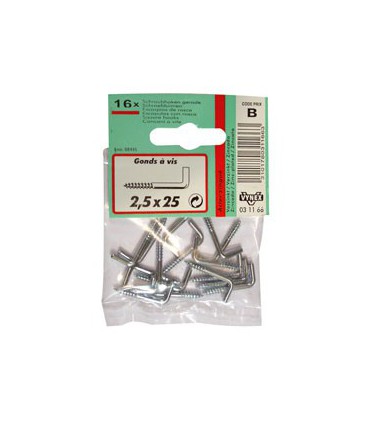 GOND A VIS ZINGUE 2.5X25         CP:2 - VYNEX