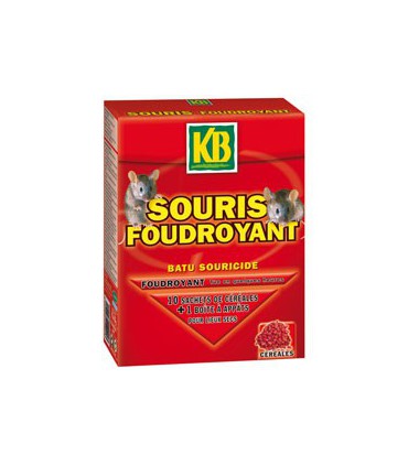 Souris foudroyant 10x10g /nca