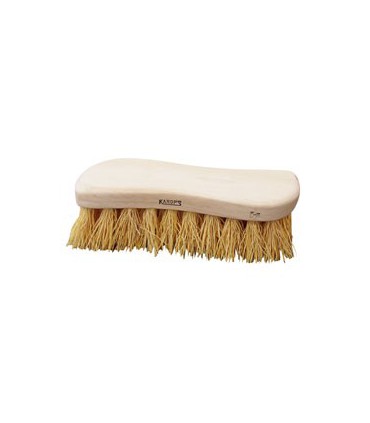 BROSSE A LAVER CHIENDENT TORS.S45 T04 - DOMERGUE