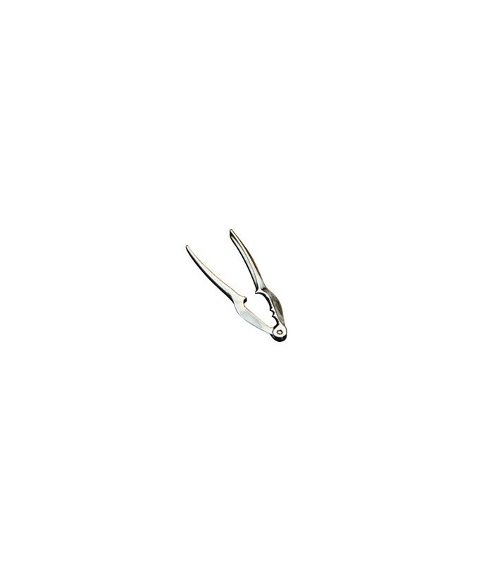 Casse-Noix Géant Inox 18cm - Ouvre Noisettes, Amandes Et Crustacés En Acier Chromé