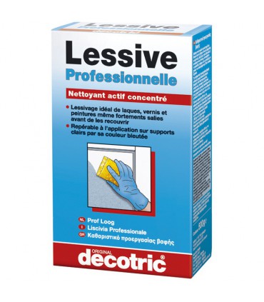 LESSIVE PROFESSIONNELLE 500G - DECOTRIC