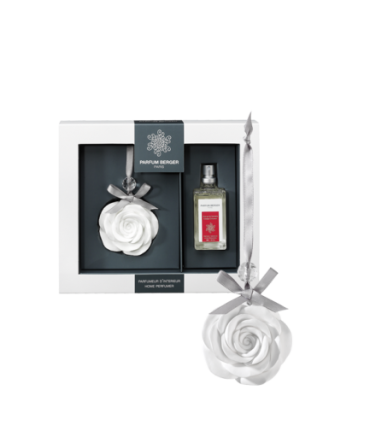 Rose suspendue orange cannelle - Berger