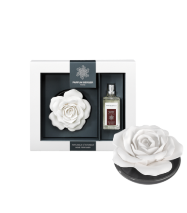 ROSE SUR PLATEAU GORMAND. PROV. BERGER