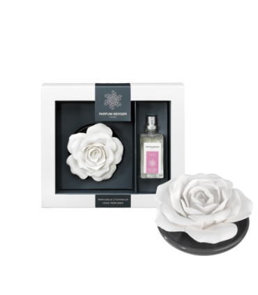 ROSE SUR PLATEAU PARIS CHIC  BERGER