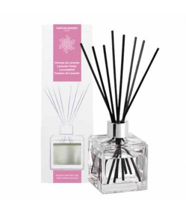 BOUQ. CUBE CHAMPS DE LAVANDE P BERGER