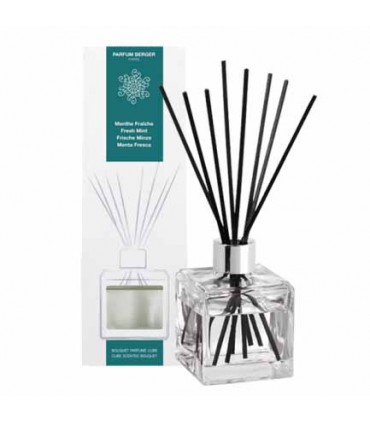 BOUQ. CUBE MENTHE FRAICHE P BERGER