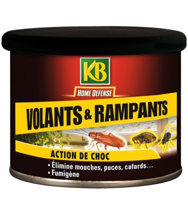 Fumigenes insecticides - KB HOME DEFENSE