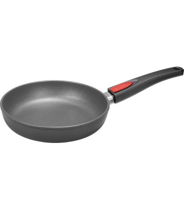 POELE AMOVIBLE WOLL FONTE INDUCT. 24