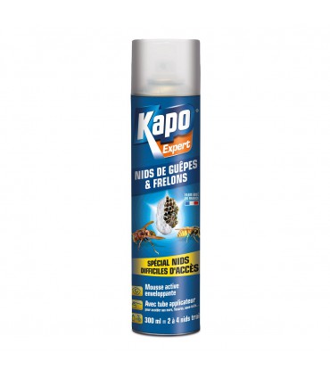 AERO MOUSSE GUEPES 300ML