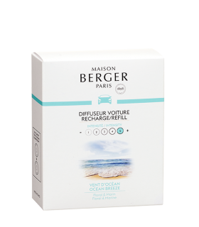 Rech. diff. voiture jante vent océan /2