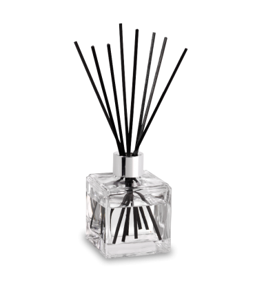 BOUQ. CUBE VENT OCEAN PARF. BERGER