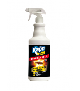 PUNAISE DE LIT PULV.1L