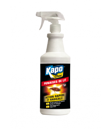 PUNAISE DE LIT PULV.1L