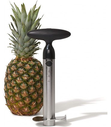 Decoupe Ananas Inox - Oxo