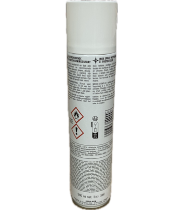 NETTOYANT INOX AEROSOL 300ML RIEM