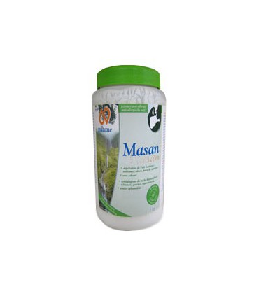 MASAN 1 KG PEINTURE ANTI-ALLERGIE BIO