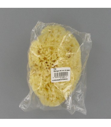 Eponge de mer pour le bain.