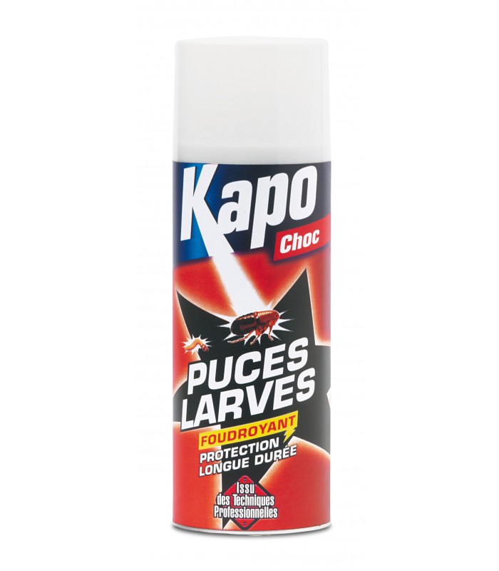 Aérosol foudroyant spécial punaises de lit 400ml KAPO