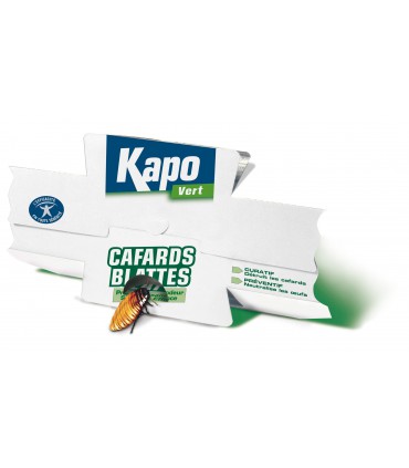 Insecticide seringue anti cafards blattes curatif préventif KAPO