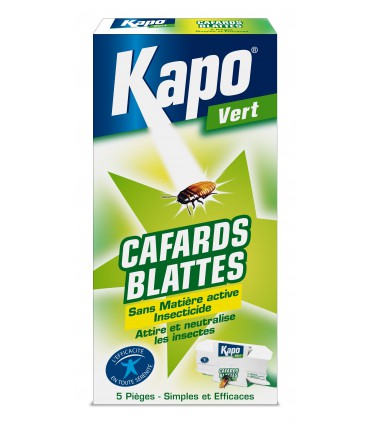 Insecticide seringue anti cafards blattes curatif préventif KAPO