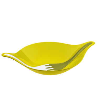 SALADIER ET COUVERTS VERT/BLC