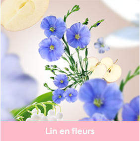 lin en fleurs