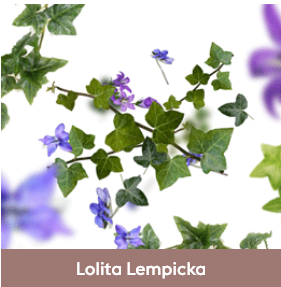 lolita lempicka