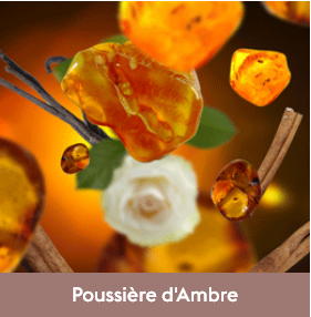 poussière d'ambre