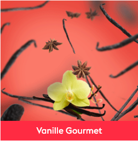 vanille gourmet