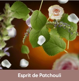 Parfum Esprit de Patchouli