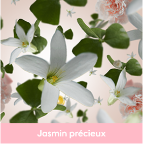 Parfum Jasmin Précieux
