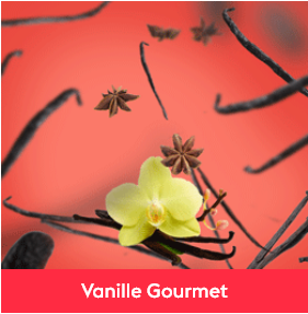 Parfum Vanille Gourmet